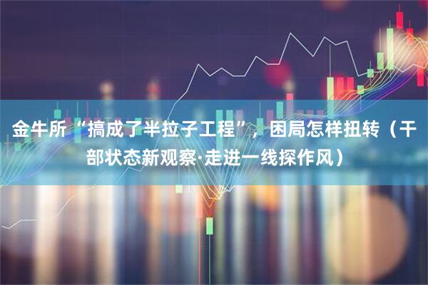 金牛所 “搞成了半拉子工程”，困局怎样扭转（干部状态新观察·走进一线探作风）