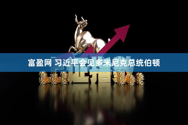 富盈网 习近平会见多米尼克总统伯顿
