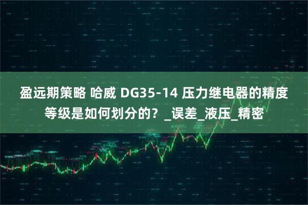 盈远期策略 哈威 DG35-14 压力继电器的精度等级是如何划分的？_误差_液压_精密