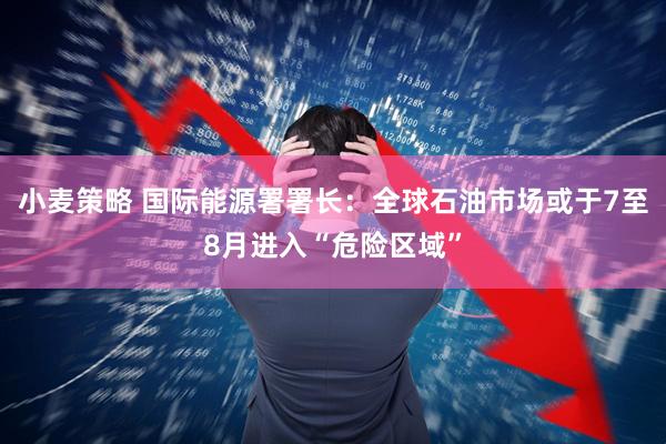 小麦策略 国际能源署署长：全球石油市场或于7至8月进入“危险区域”