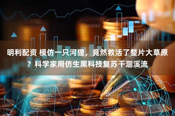 明利配资 模仿一只河狸，竟然救活了整片大草原？科学家用仿生黑科技复苏干涸溪流