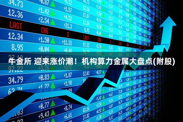牛金所 迎来涨价潮！机构算力金属大盘点(附股)